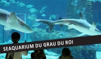 Visite guidée en anglais – Seaquarium